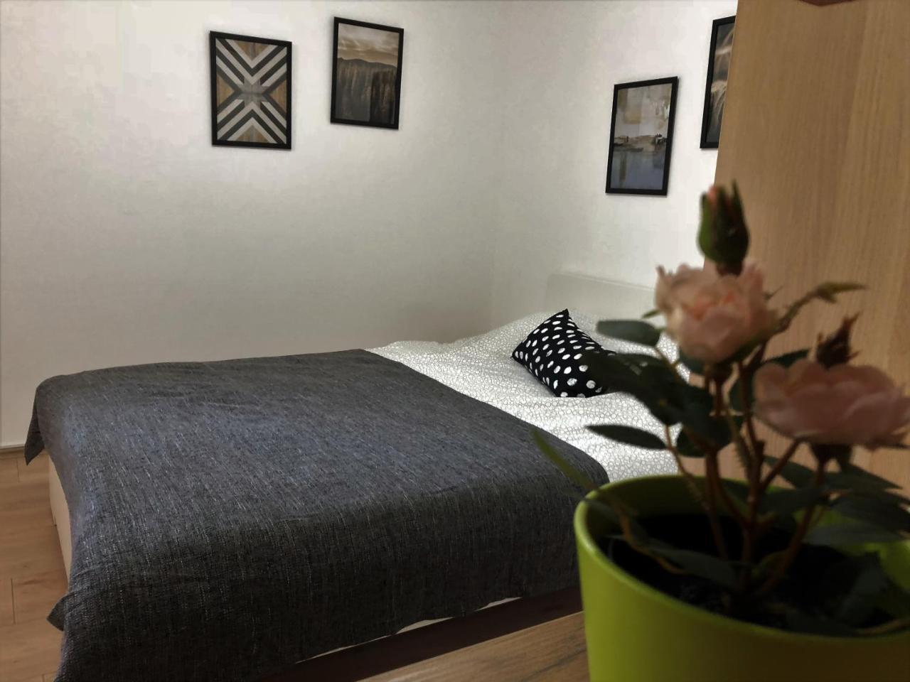 Small & Sweet Apartments Belgrad Zewnętrze zdjęcie